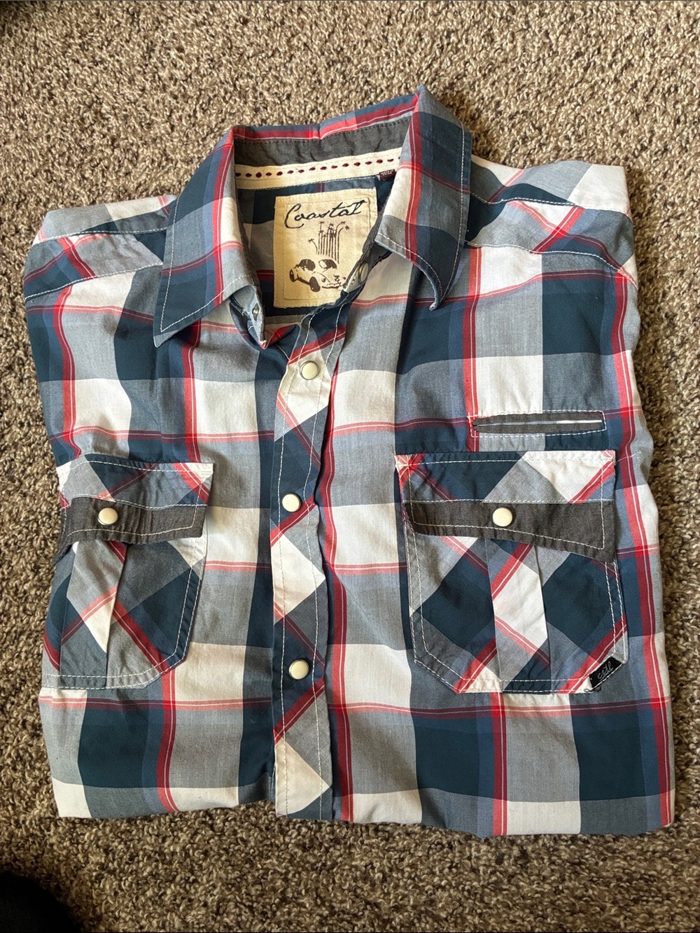Casual Plaid Button-Down Shirt in Blue and White